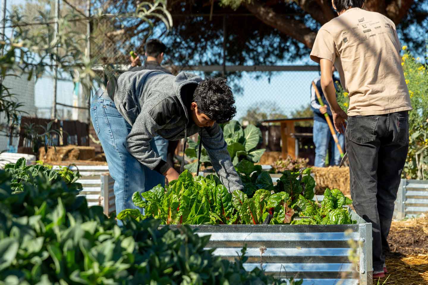 2022 1% For the Planet Donation Recipients Announced